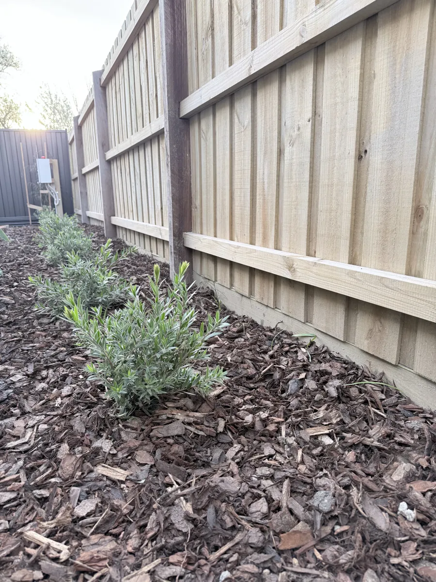 Timber fence with planted bed