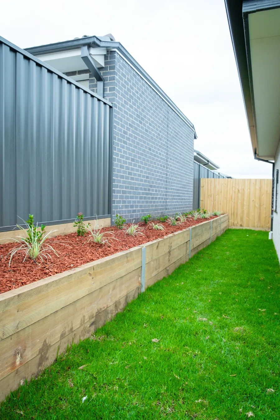 Colorbond fence beside a new lawn