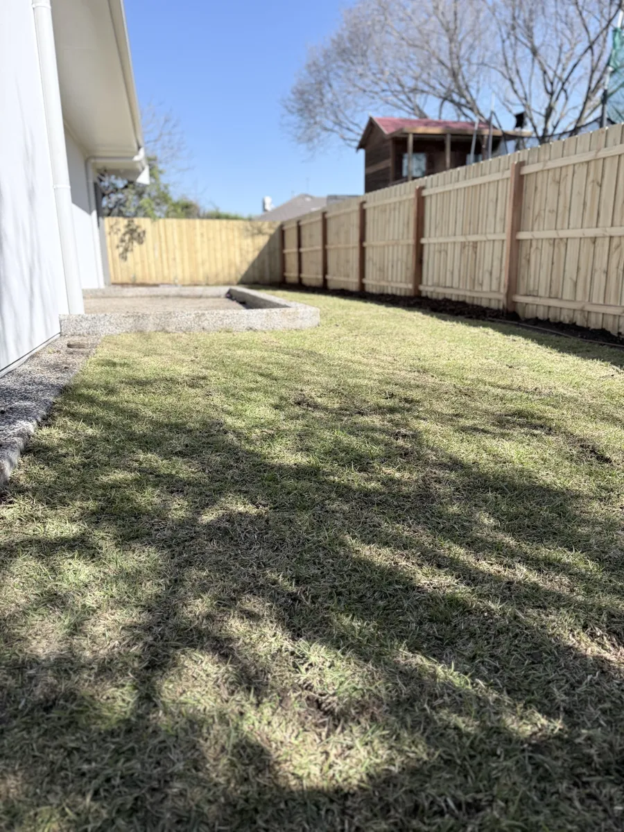 Backyard lawn with timber fencing