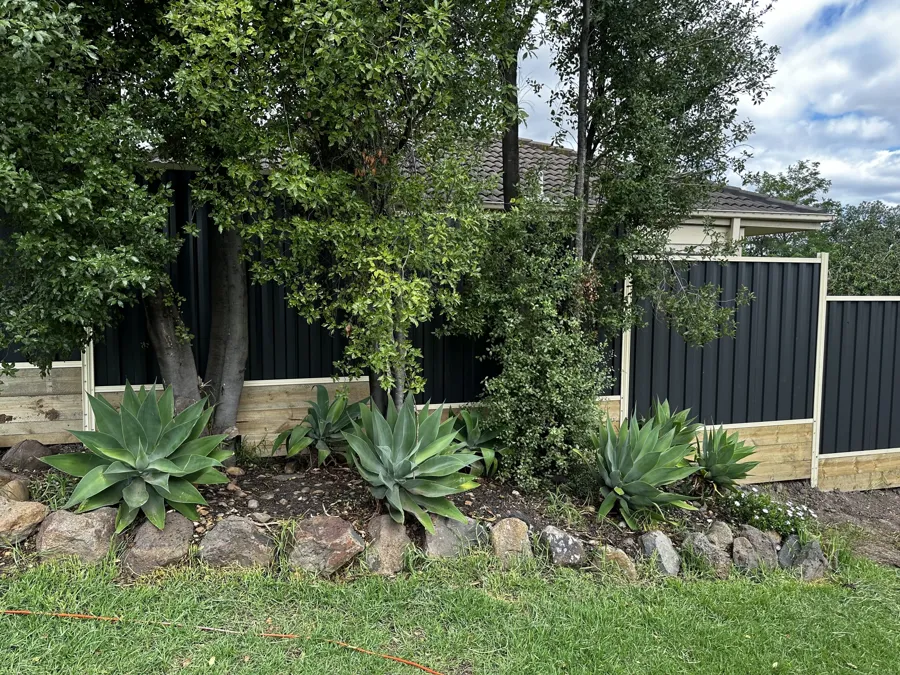Feature garden with retaining edge and timber fence